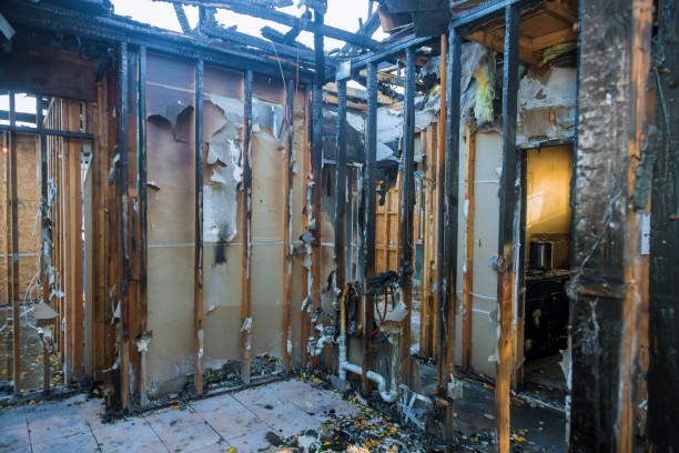 Professional Fire Damage Removal technician working in Cambridge, MN